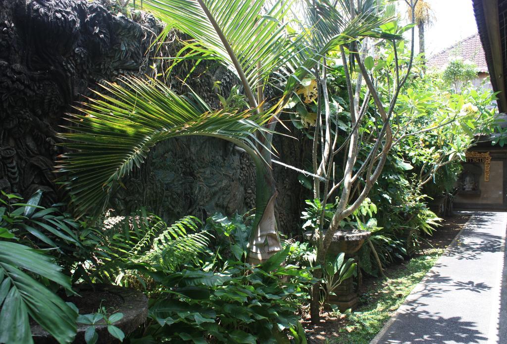 Maison d'hôtes Budi